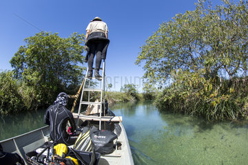 Scouting the river on a small boat driven by an electric motor in search of anaconda  Formoso River  Bonito  Mato Grosso do Sul  Brazil