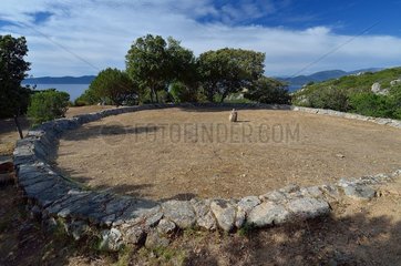 Former threshing floor of wheat  natural site of the conservatory of the coast between Campomoro and Senetosa  Region of Propriano  Corsica  France