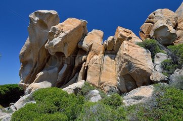 Eroded granite rocks along the coastal path between Tizzano and Conca  Propriano Region  Corsica  France