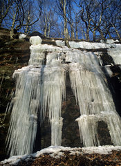 Frozen waterfall  Regional Natural Park of Northern Vosges  France