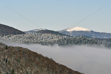 Panorama of the Grand Ballon massif in winter  Ballon d'Alsace  Vosges Mountains  France