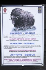 Panel warning on the risk of Musk Ox charge Norway