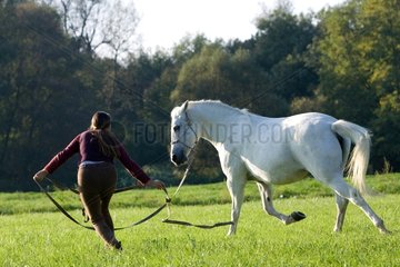 WeiÃŸes Pferd Training auf schlechtem Fluss haut-rhin Frankreich