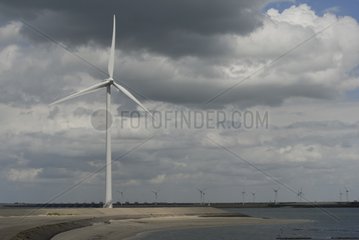 Windturbinen im Meer