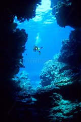 Diver Samadaï Cave Mersa Alam Red Sea Egypt