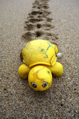 Plastic turtle thrown by the sea in a beach. - Composite image. Composite image