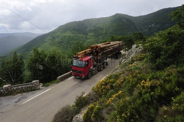 Transport of timber to the plains of the Cevennes