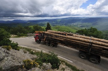 Transport of timber to the plains of the Cevennes