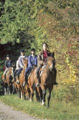 Horseback packing of a horse club in countryside France