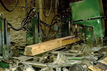 Cut of a log in a sawmill Pyrenees Spain