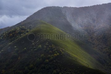 Mountains Landscape Reserve Muniellos Spain
