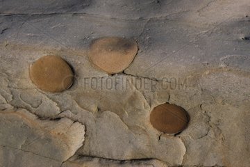 Peebles of sandstone with nodules - Brehec Brittany France