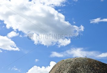 Granite Rock Los Barruecos NM Spain