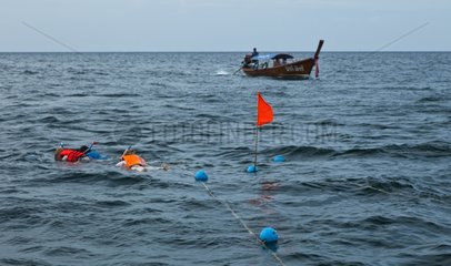 Divers surface Tarutao MNP Adang Thailand