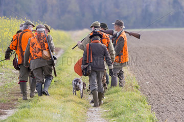 Small Game Hunting  Mackenheim  Bas-Rhin  Greater East Region  France