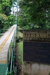 Stone bridge  La Selva Biological Station  Costa Rica