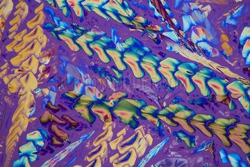 Tartaric acid crystals under a microscope