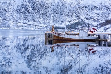 Dockside - Sildpollen Lofoten Norway