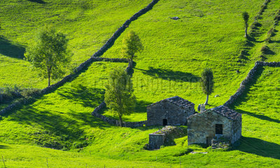 Cabaña pasiega and meadows  Miera Valley  Valles Pasiegos  Cantabria  Spain  Europe