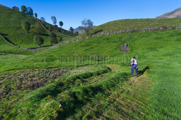 Cutting the grass  Cabaña pasiega and meadows  Miera Valley  Valles Pasiegos  Cantabria  Spain  Europe