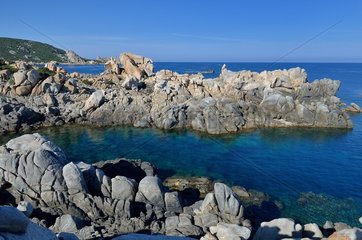 Pointe de Campomoro  Natural Site of the Coastal Conservatory  Propriano Region  Corsica  France