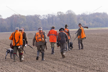 Small Game Hunting  Mackenheim  Bas-Rhin  Greater East Region  France