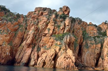 Cliffs of Piana overlooking the sea  Corsica  France