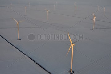 Wind farm in winter - Picardy France