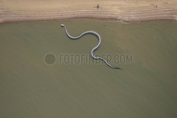 The 'Snake ocean' - France Loire Estuary