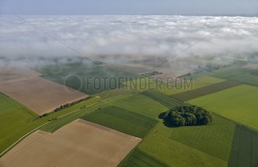 Fog over the fields - Picardy France