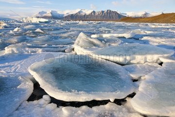 Floating ice on the Joekulsárlón Suðurland Iceland