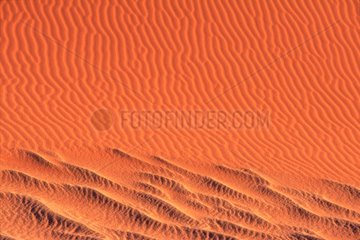 Traces drawn by the wind in the sand of the dunes Namibia