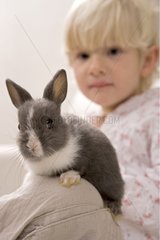 Young rabbit and child France