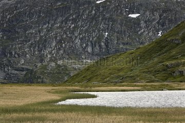 Sumpfiges Ufer eines Mountain Lake Norwegen
