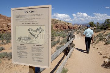 Pedagogic informations in the Arches NP