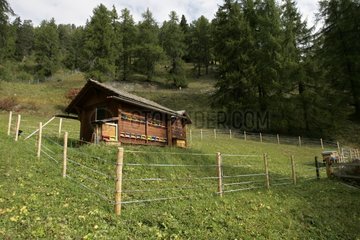 Hive protected from bears by an electric fence Switzerland
