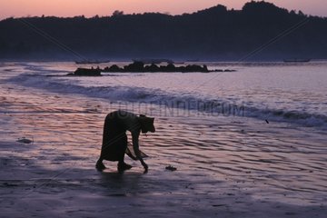 Frau Sammeln der Muscheln an einer Strand WestkÃ¼ste