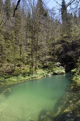 Exsurgence of the source of Ain  Conte  Jura  France