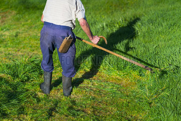 Cutting the grass  Cabaña pasiega and meadows  Miera Valley  Valles Pasiegos  Cantabria  Spain  Europe