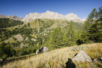 Le Queyrellin  Valley of Nevache  Alps  France