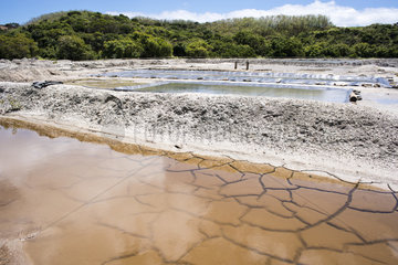 Basins of the salt marshes of Kô. Salt marshes of back mangrove. North of Grande Terre. New Caledonia.