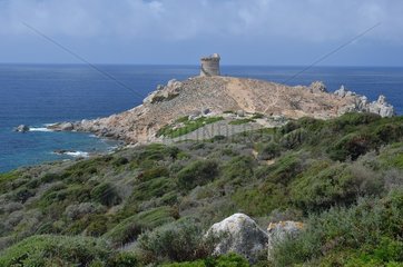 Genovese Tower of Omigna  Gulf of Peru  Cargese Region  Corsica  France