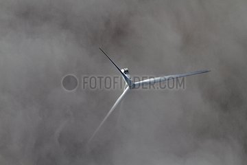 Windmill in fog - Picardy France