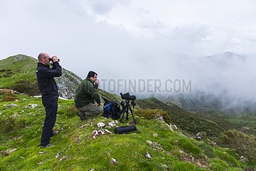Birding trail - Asturias Spain