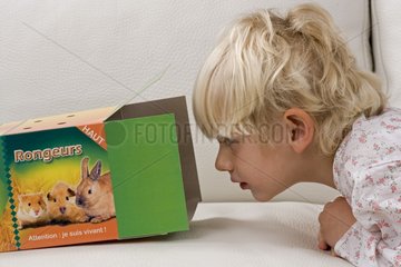 Child looking in a rodent box France