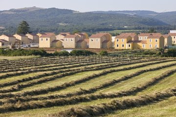 Haying time and Allotment Plateau de Saux Provence France