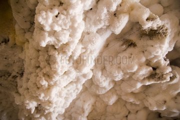 Salt concretions in a cave of Qeshm island Iran