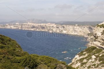 Limestone Cliffs and town of Bonifacio Corse du Sud