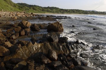 Landscape of rock and tropical forest on the coast