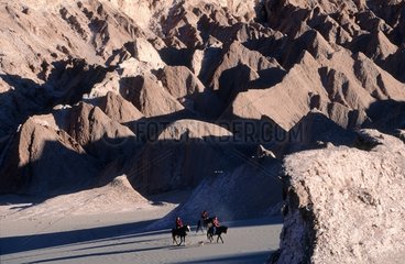 San Pedro de Atacama  cavaliers